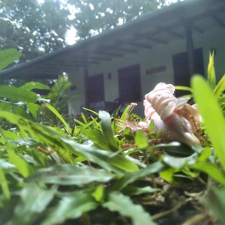 Sigiriya Hillside View Villa Exterior photo